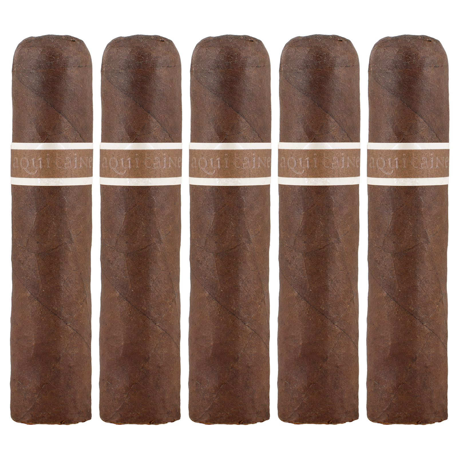 Aquitaine Mandible Petite Gordo Cigar - 5 Pack